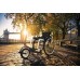 TrackWheel Carbon Front Wheel - Rigid Wheelchairs